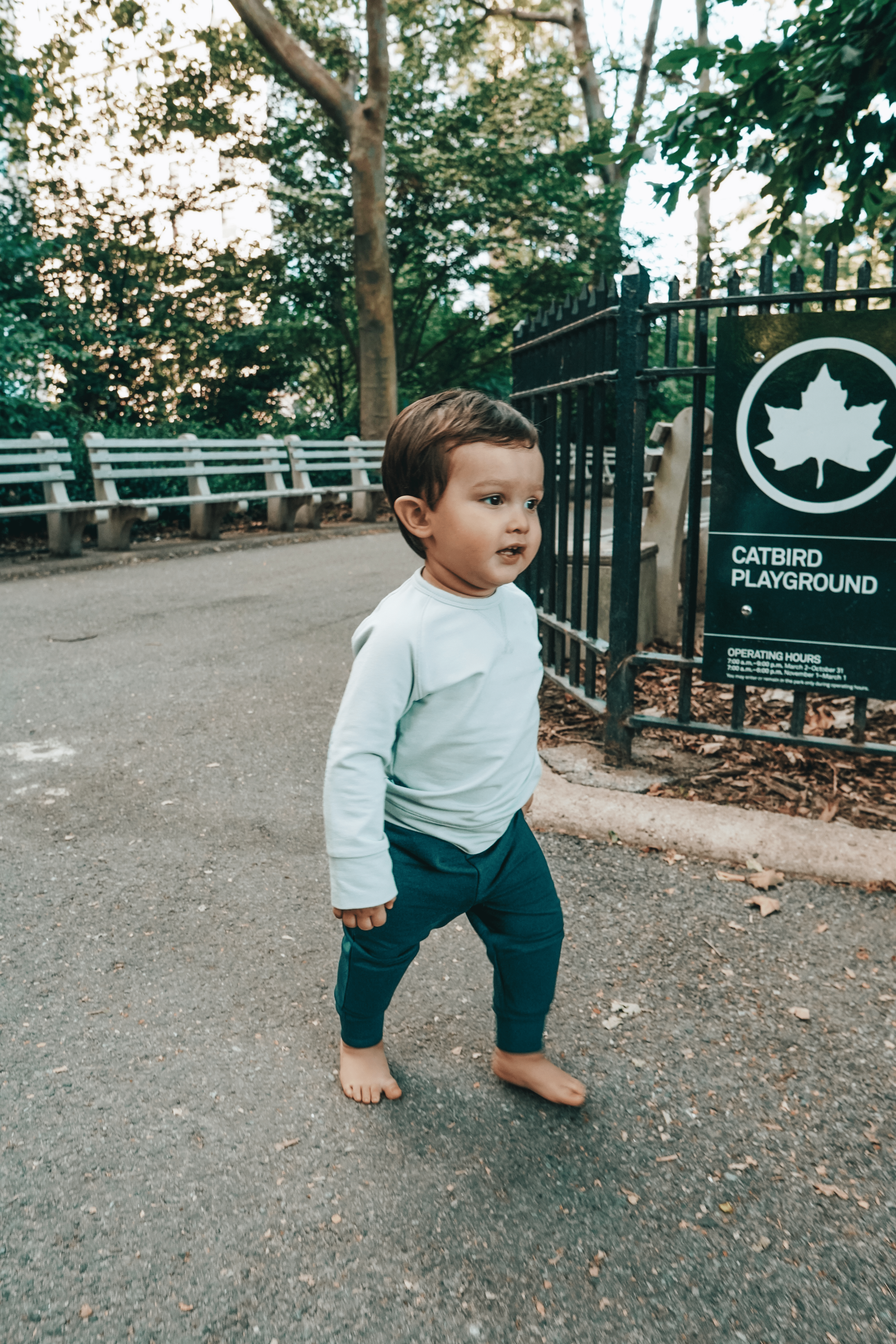 Smartsie Jogger Pant