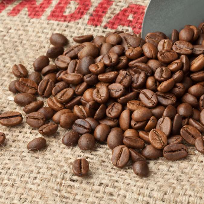 MONSOONED | Malabar | Medium-Dark Roast