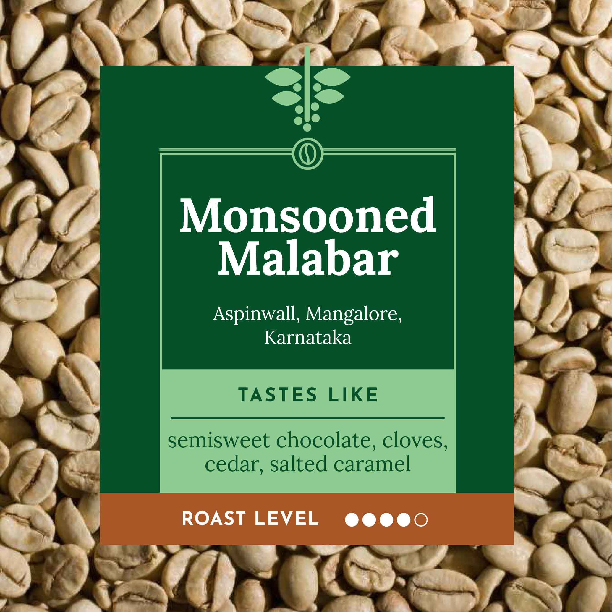 MONSOONED | Malabar | Medium-Dark Roast