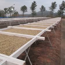 BRIGHT | Kerkeicoondah | Medium-Light Roast