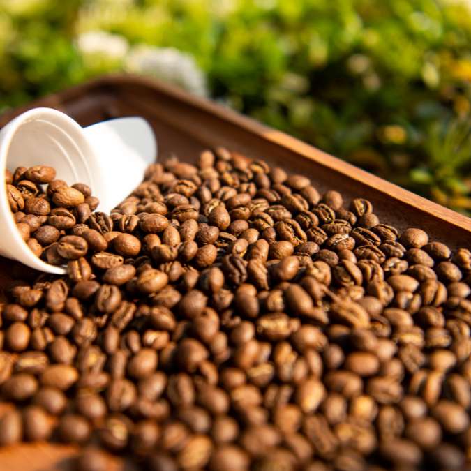 PEABERRY | Kerkeicoondah | Medium Roast