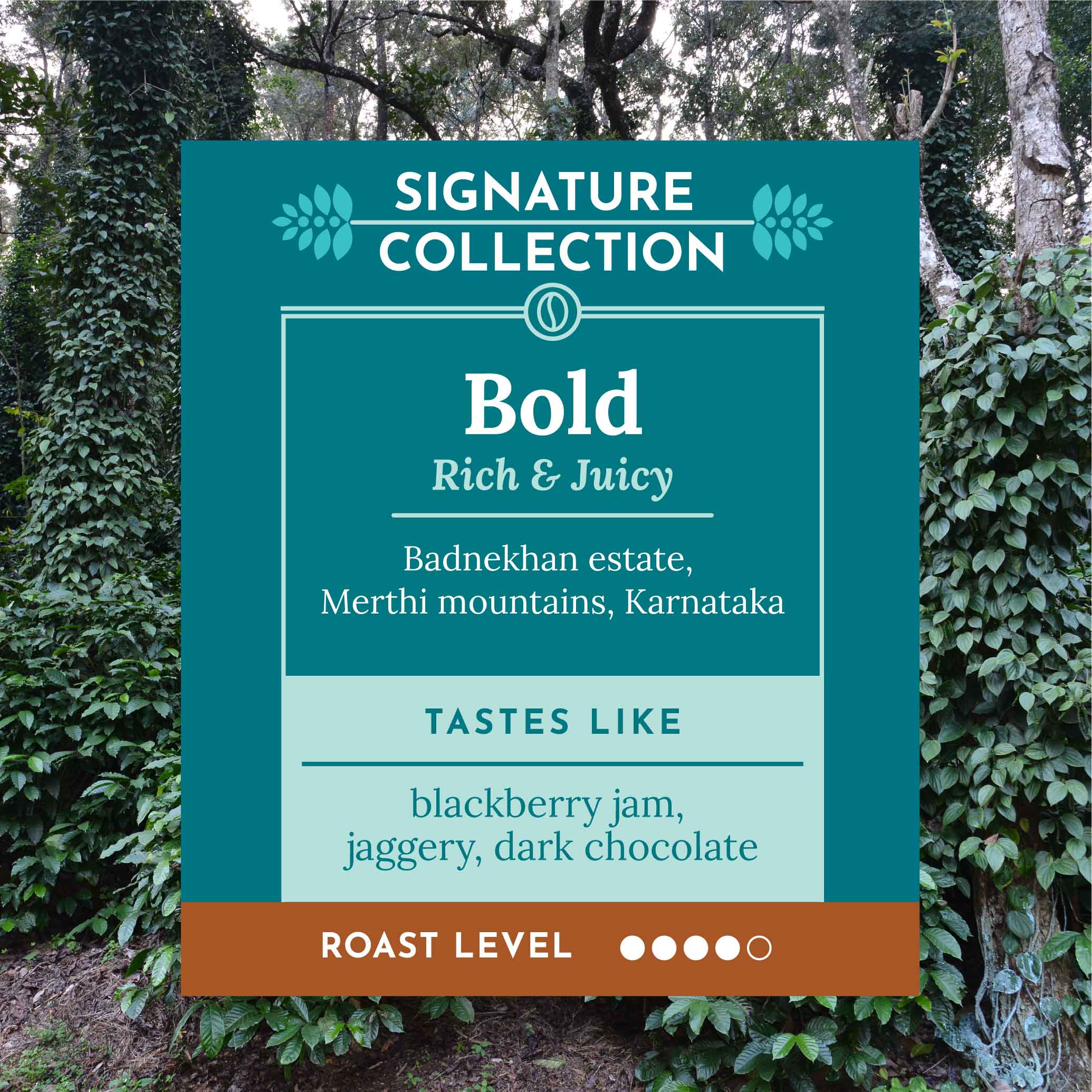 BOLD | Badnekhan | Medium-Dark Roast