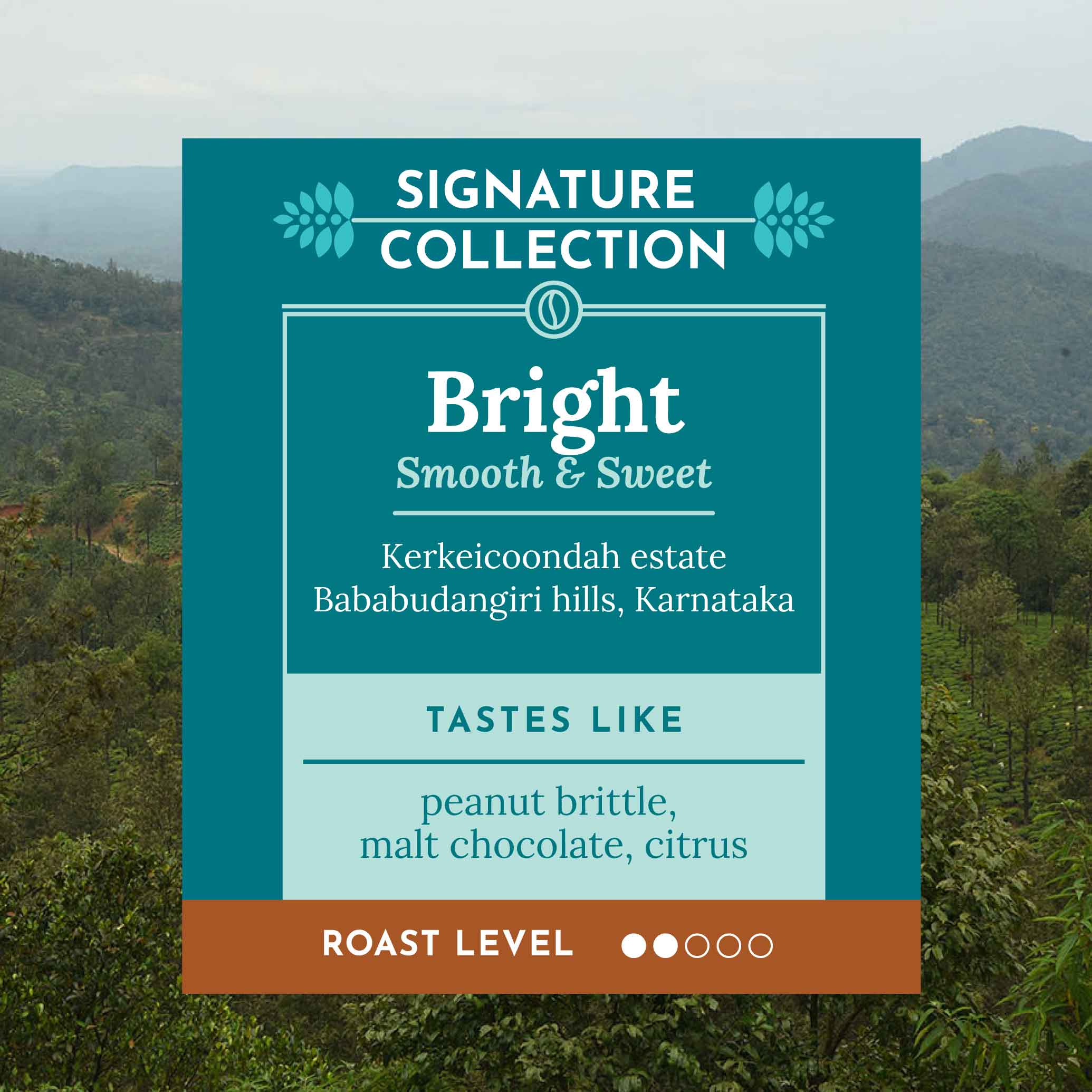BRIGHT | Kerkeicoondah | Medium-Light Roast